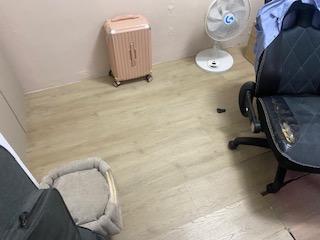 環氧樹脂地板案件圖片