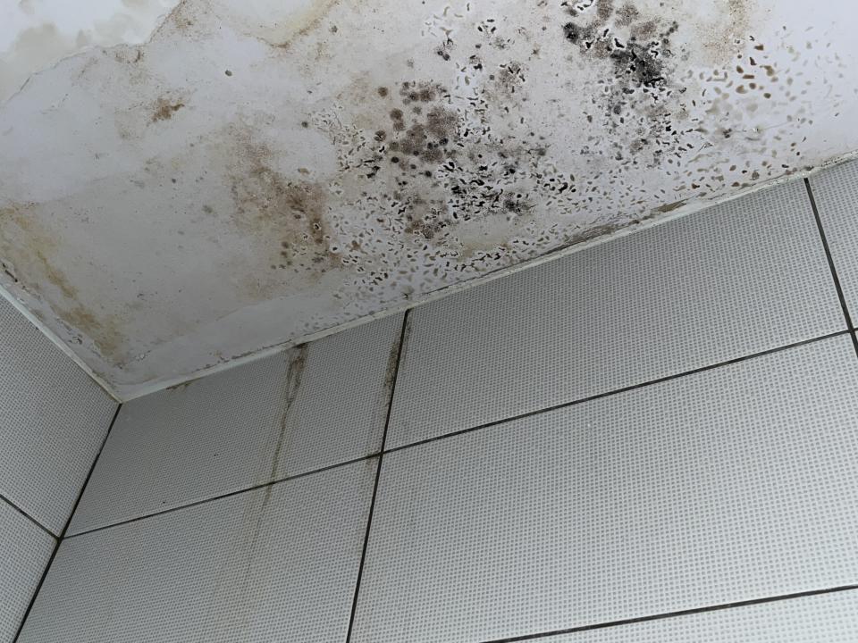 漏水處理案件圖片