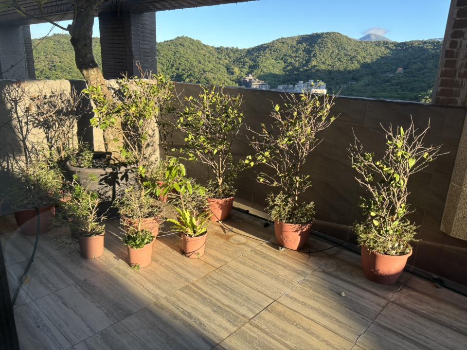 植物診療師案件圖片