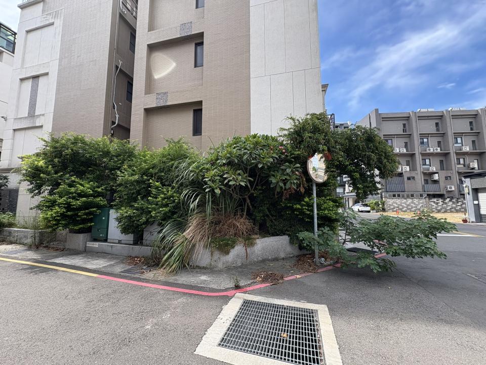 園藝維護案件圖片