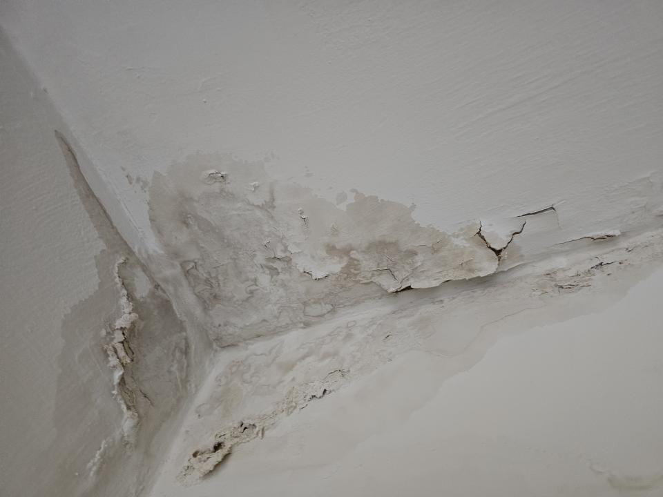 漏水鑑定案件圖片