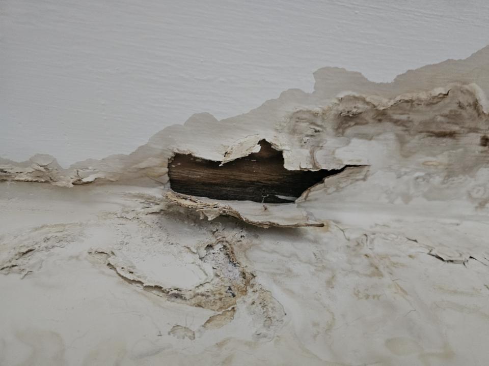 漏水鑑定案件圖片