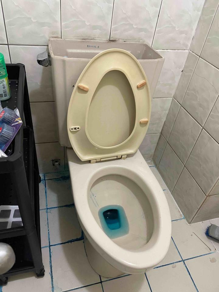 馬桶裝修案件圖片
