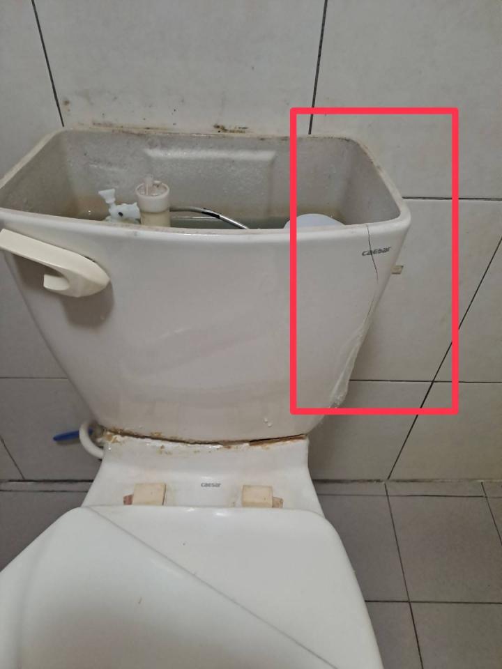 馬桶裝修案件圖片