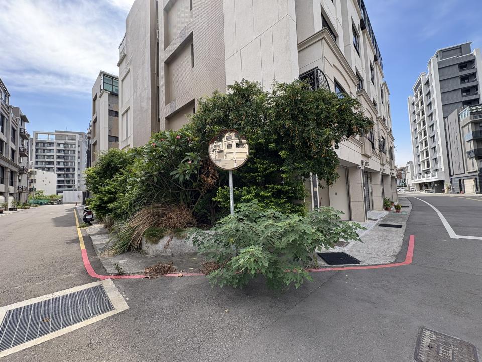 園藝維護案件圖片