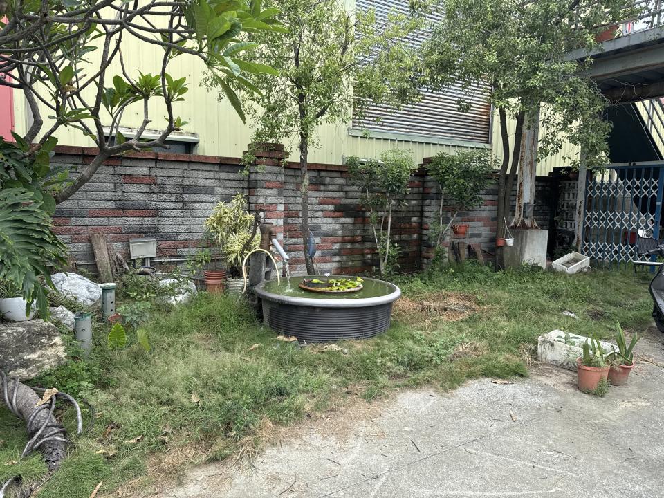 園藝維護案件圖片