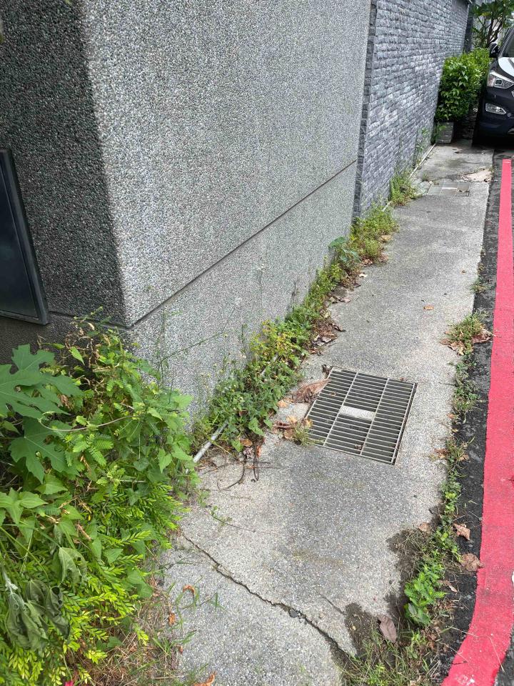 園藝維護案件圖片