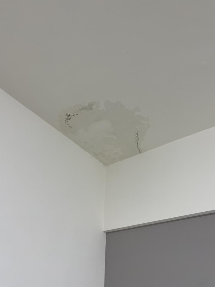 油漆工程案件圖片 油漆工程案件圖片