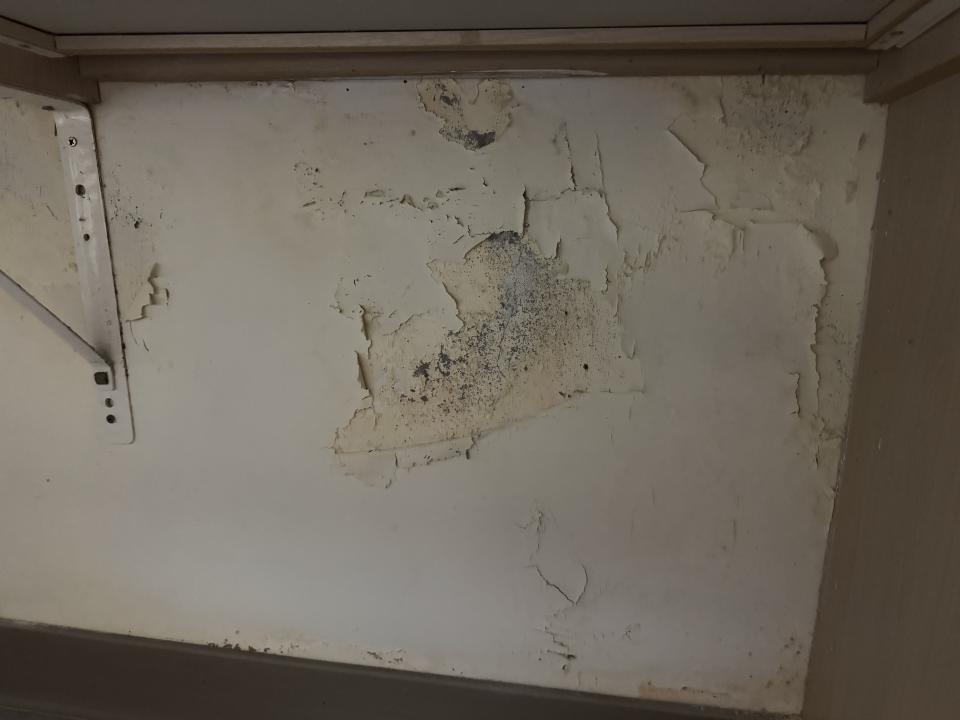 抓漏案件圖片