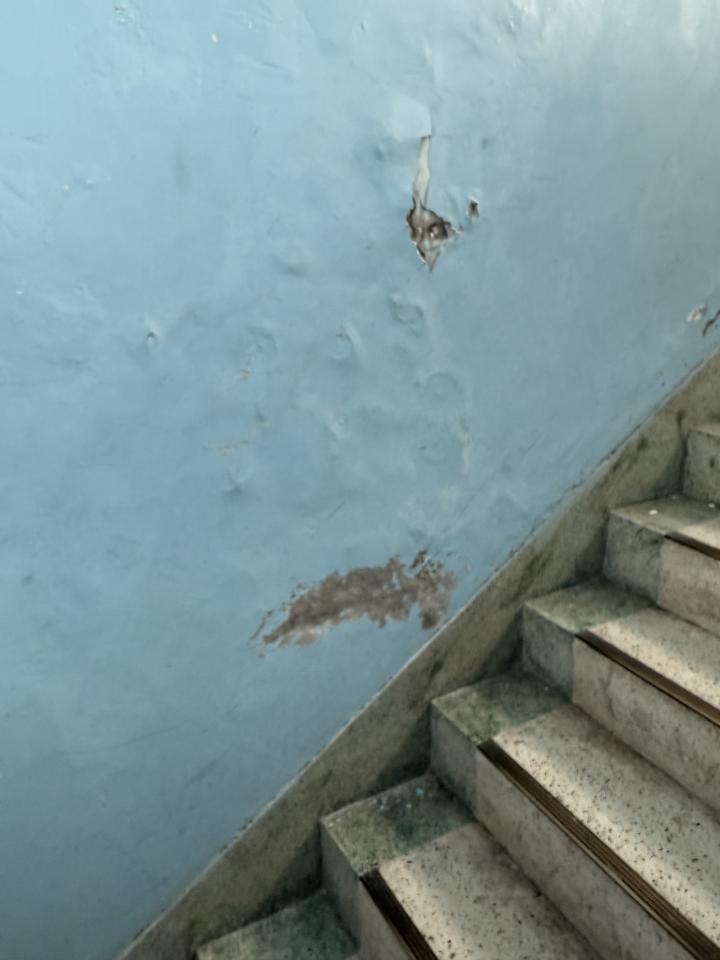 壁癌處理案件圖片