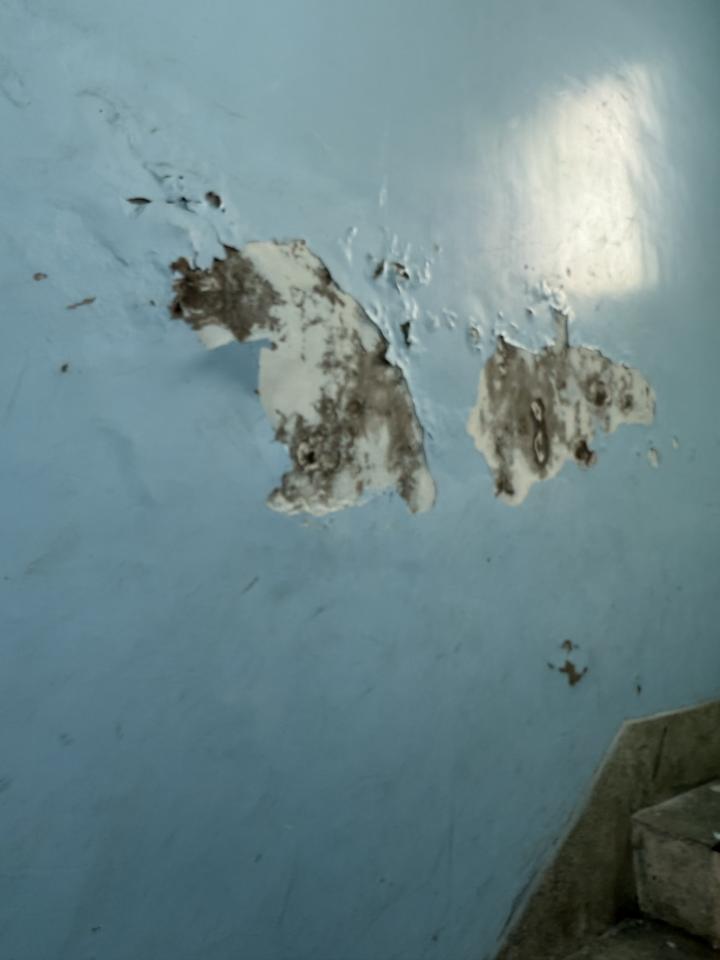 壁癌處理案件圖片