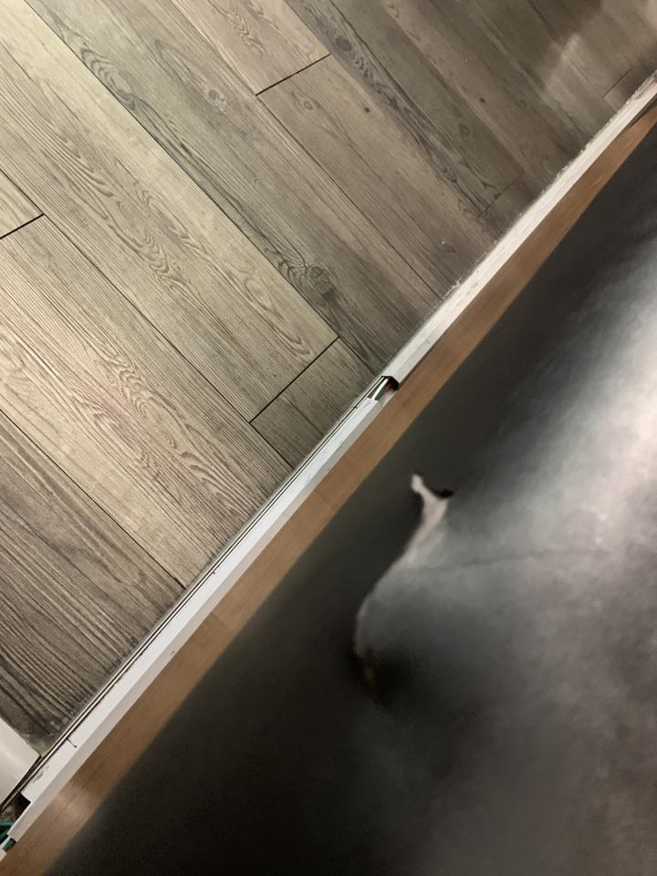 沙發修理案件圖片