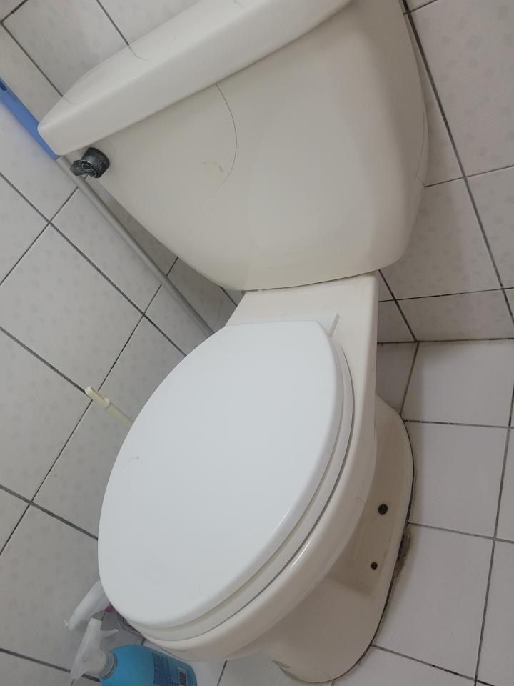 馬桶裝修案件圖片