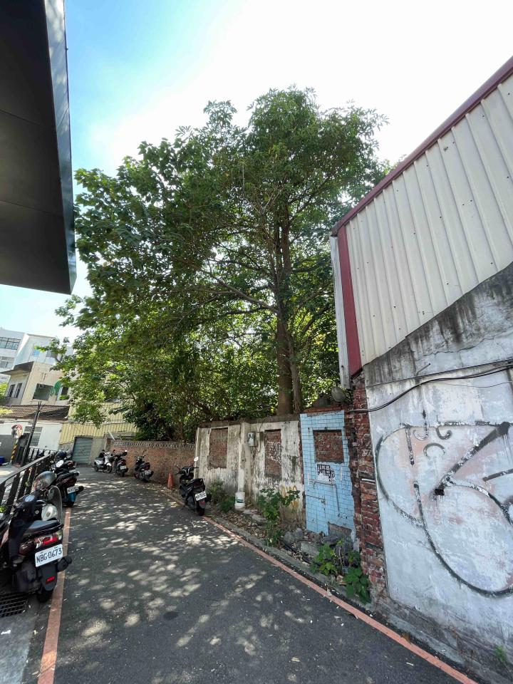 園藝維護案件圖片 園藝維護案件圖片