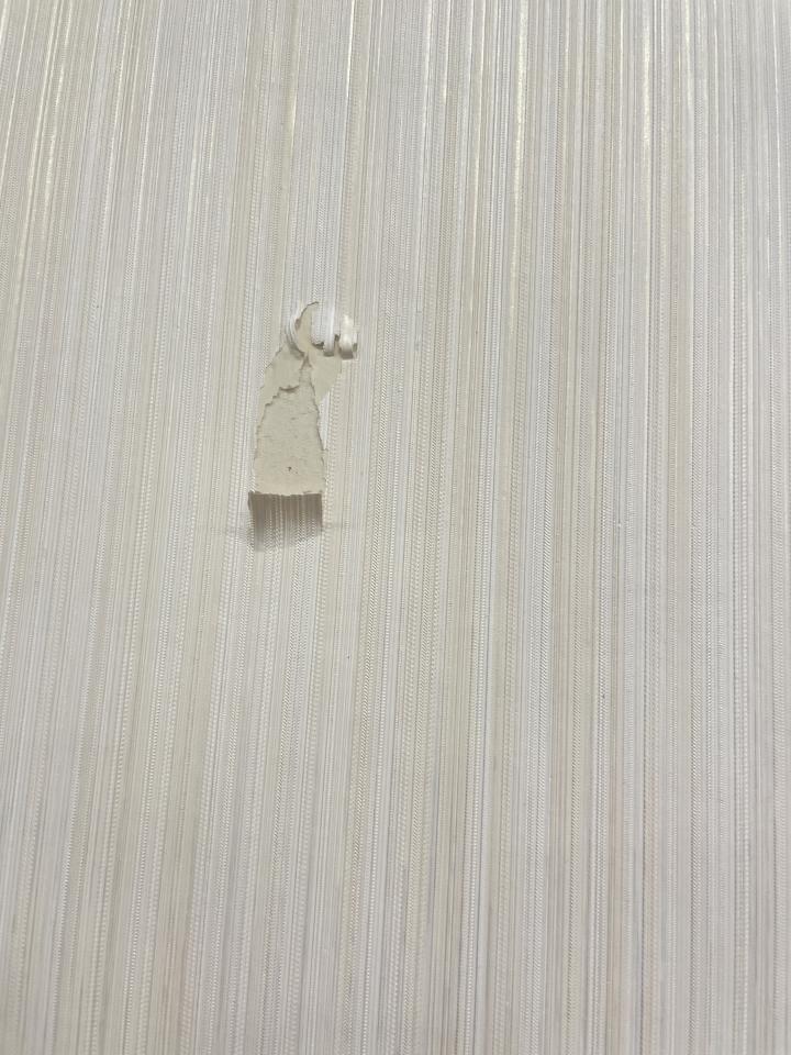壁紙施工案件圖片
