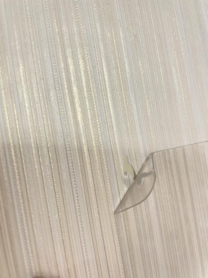 壁紙施工案件圖片