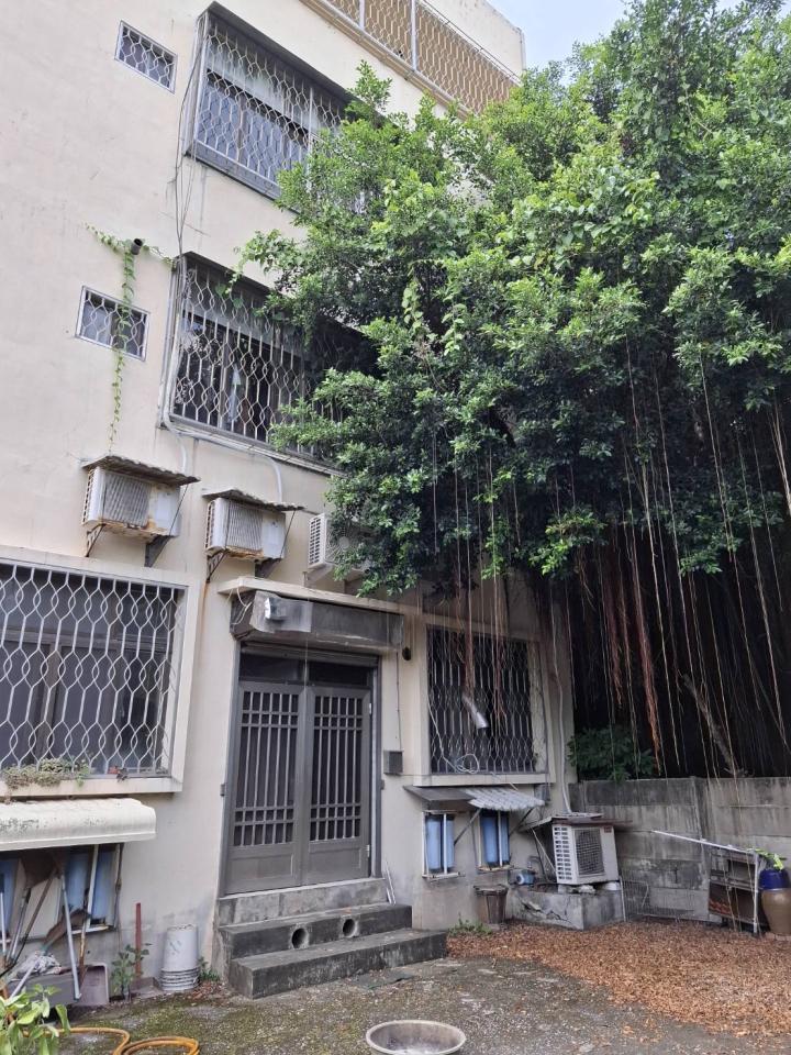 園藝維護案件圖片