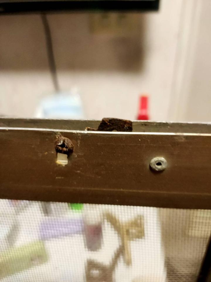 紗窗裝修案件圖片