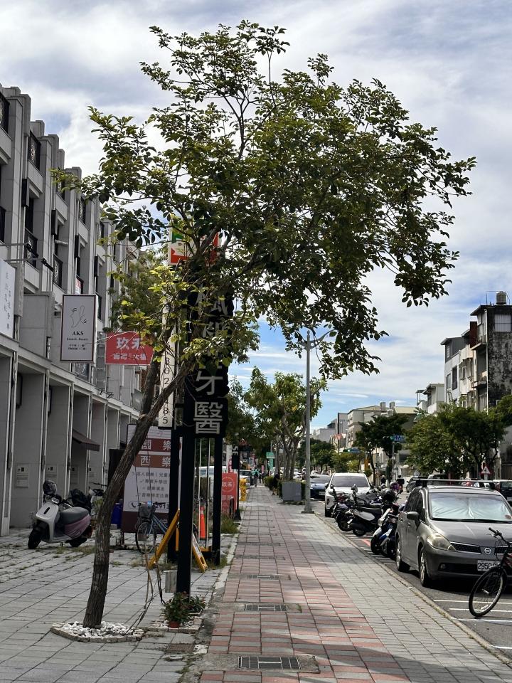 園藝維護案件圖片