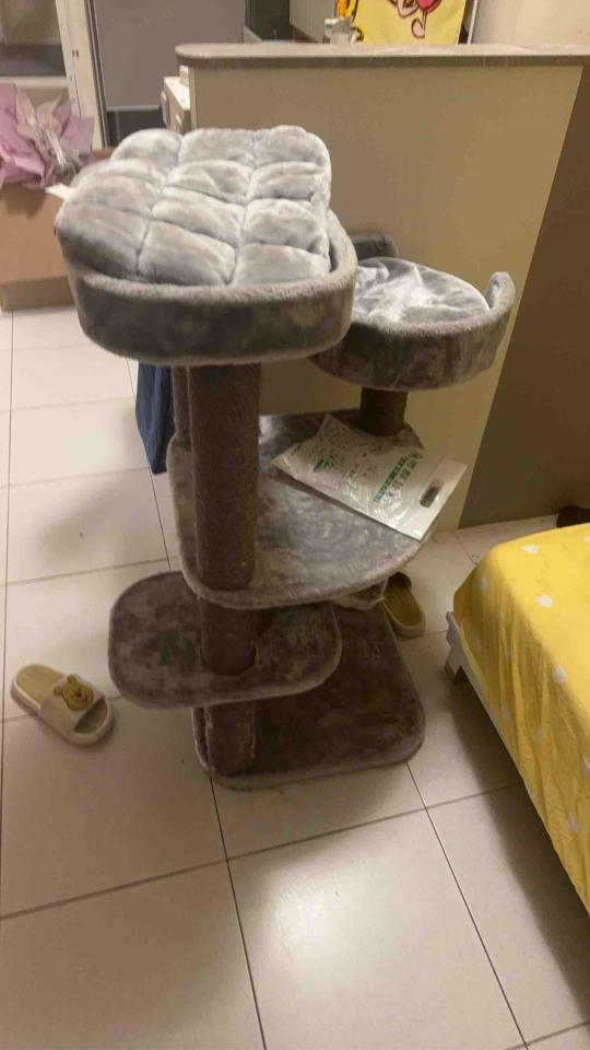 搬家案件圖片