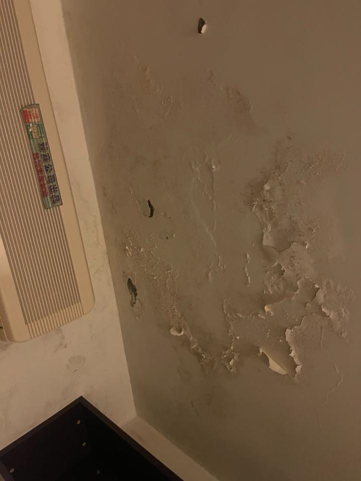 油漆工程案件圖片