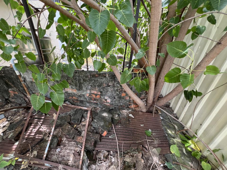 園藝維護案件圖片