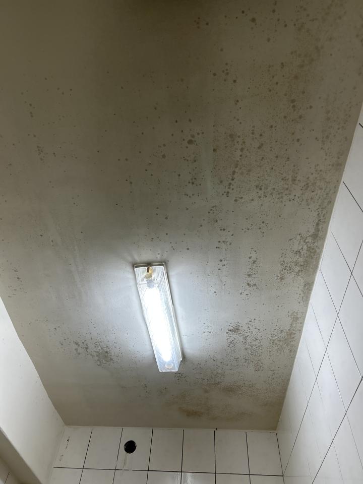 浴室翻新案件圖片