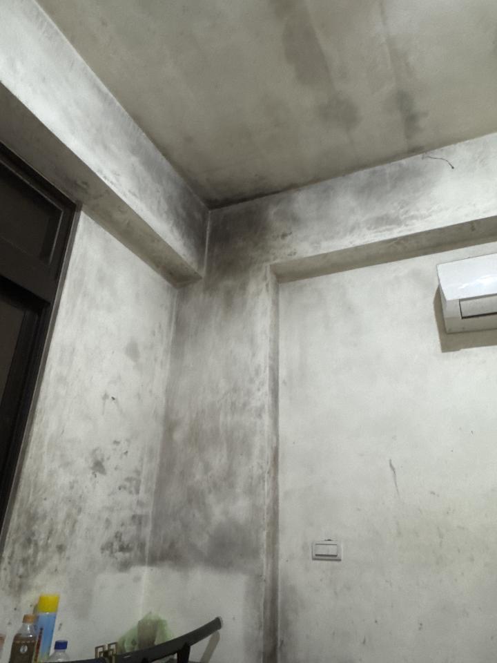 除霉案件圖片 除霉案件圖片