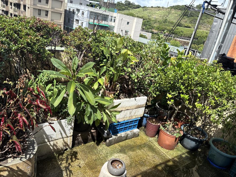 大型垃圾回收案件圖片 大型垃圾回收案件圖片