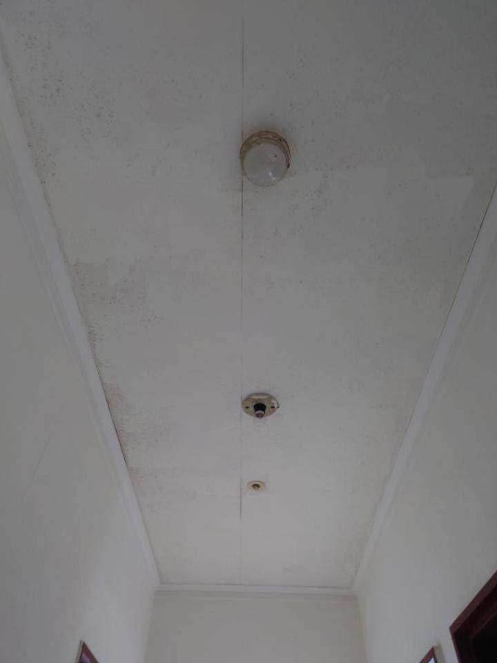 油漆工程案件圖片