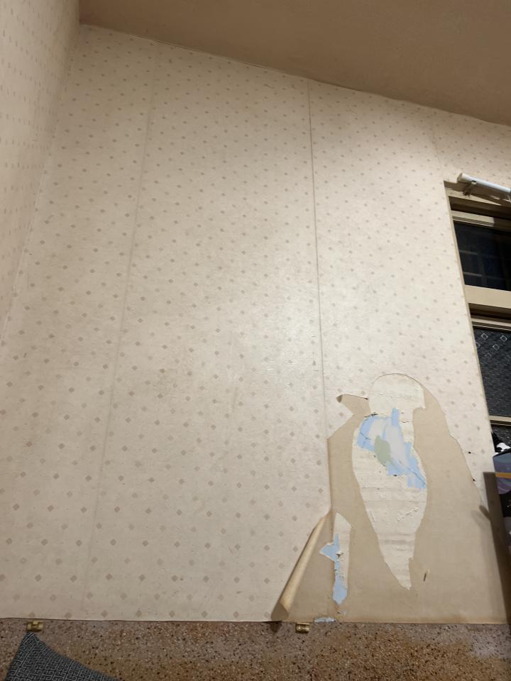 壁紙清除案件圖片
