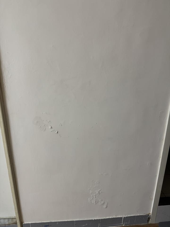 壁癌處理案件圖片