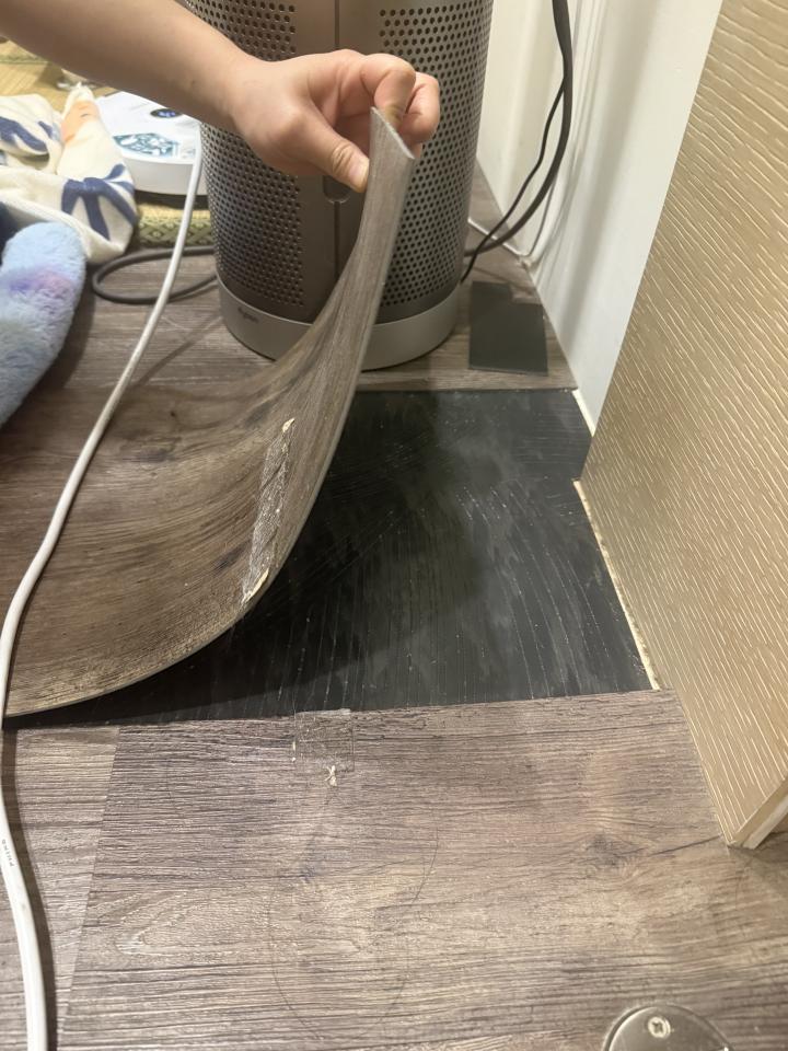 拆除工程案件圖片