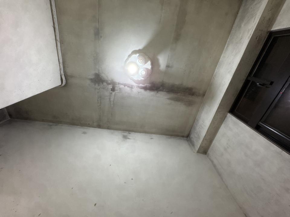 除霉案件圖片 除霉案件圖片