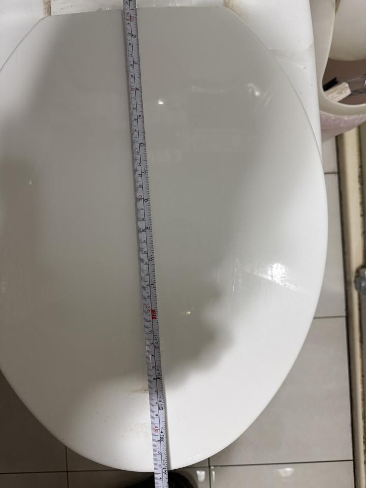 馬桶裝修案件圖片