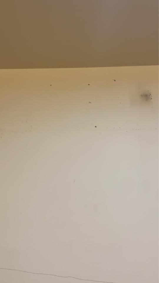 油漆工程案件圖片