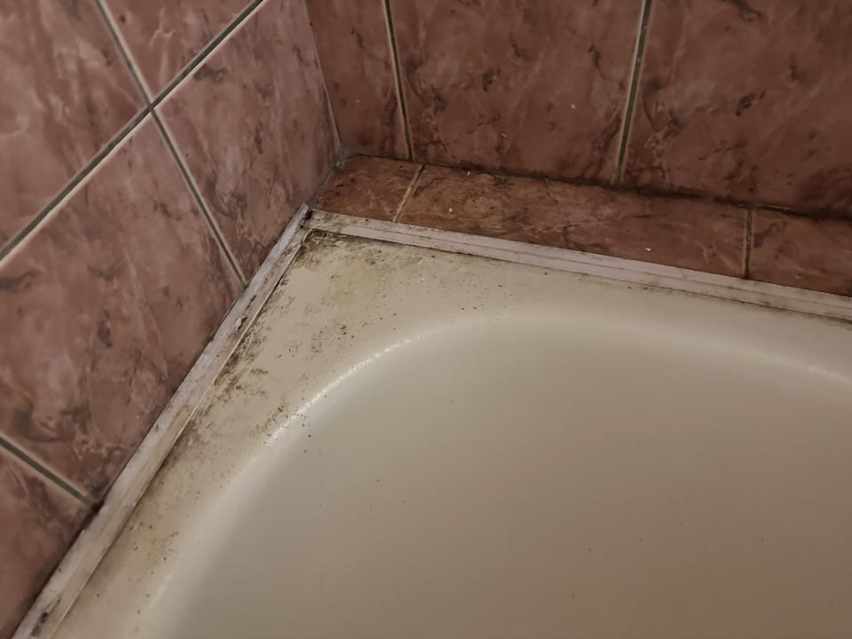 搬家清潔案件圖片