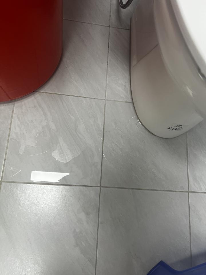 馬桶裝修案件圖片