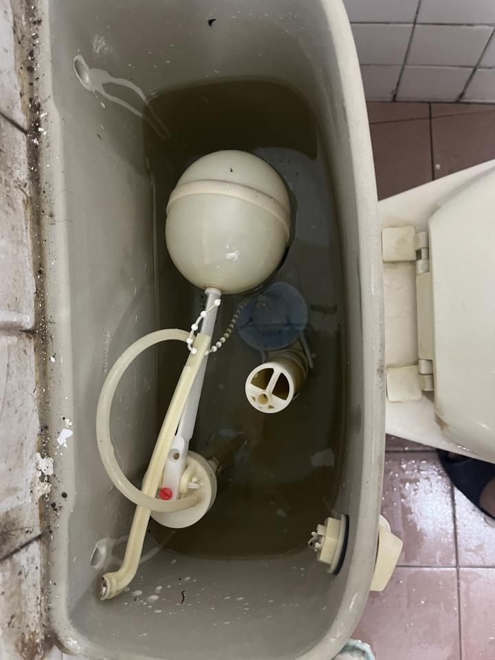 馬桶裝修案件圖片