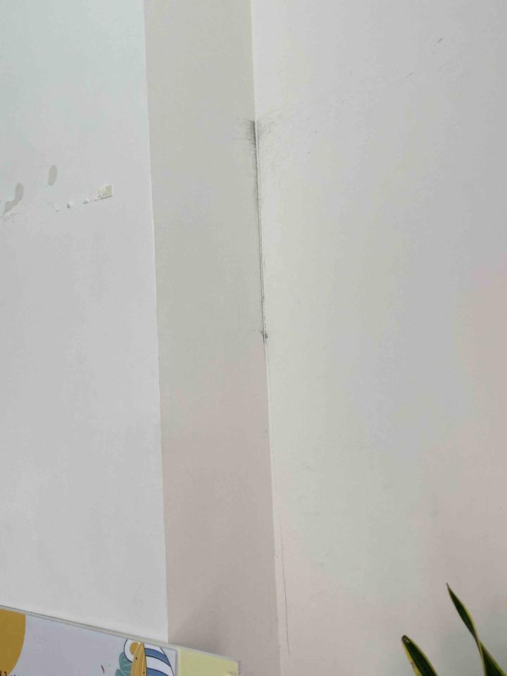 油漆工程案件圖片
