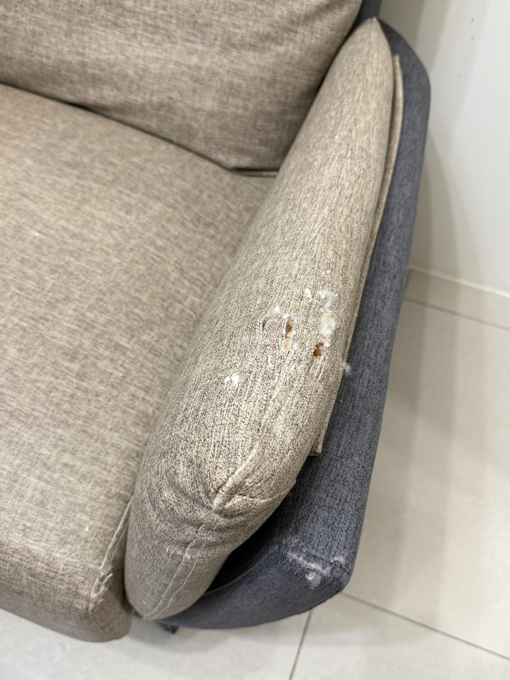 沙發修理案件圖片
