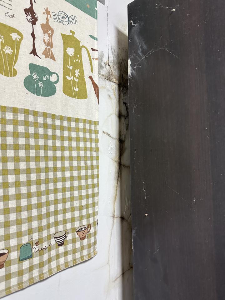批土案件圖片