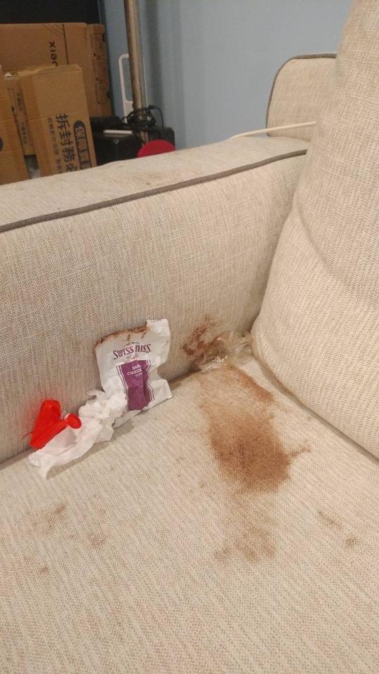 沙發清潔案件圖片