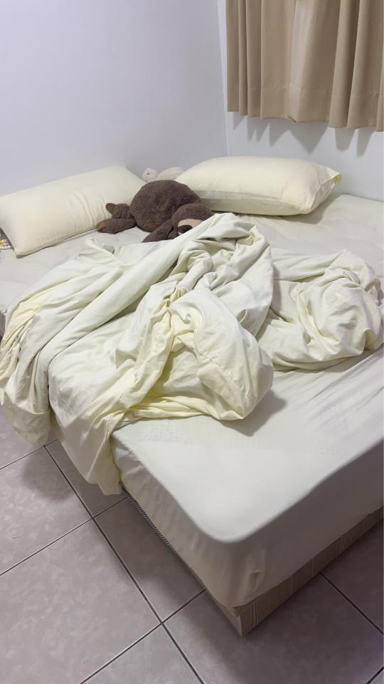 搬家案件圖片