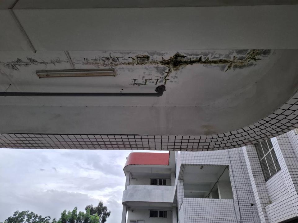 漏水處理案件圖片