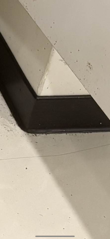 拆除工程案件圖片