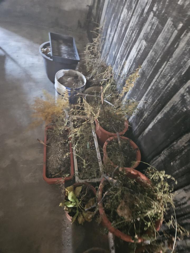 大型垃圾回收案件圖片