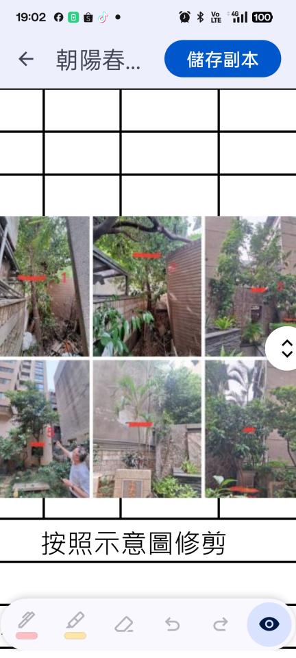 園藝維護案件圖片