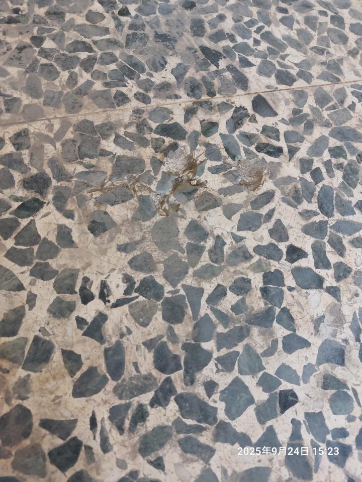 泥作/水泥施工案件圖片
