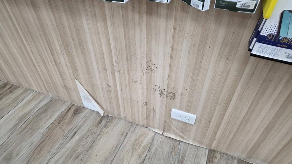 壁紙施工案件圖片